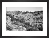 View of trees and vegetation ...
