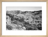 View of trees and vegetation ...