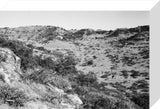View of trees and vegetation ...