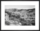 View of trees and vegetation ...
