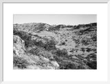 View of trees and vegetation ...