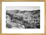View of trees and vegetation ...