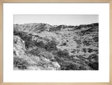 View of trees and vegetation ...