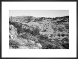 View of trees and vegetation ...