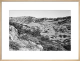 View of trees and vegetation ...