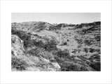 View of trees and vegetation ...