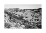 View of trees and vegetation ...