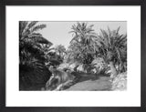 View of water channels at ...
