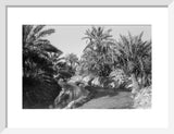 View of water channels at ...