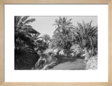 View of water channels at ...
