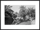 View of water channels at ...