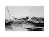 View of small dhows (sailboats) ...