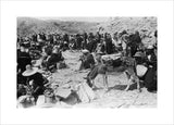 View of Khawlan Bedouin at ...