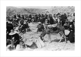 View of Khawlan Bedouin at ...