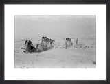 View of Wilfred Thesiger's travelling ...