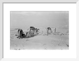 View of Wilfred Thesiger's travelling ...