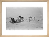 View of Wilfred Thesiger's travelling ...