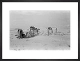 View of Wilfred Thesiger's travelling ...
