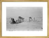 View of Wilfred Thesiger's travelling ...