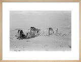 View of Wilfred Thesiger's travelling ...