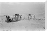 View of Wilfred Thesiger's travelling ...