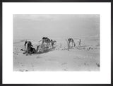 View of Wilfred Thesiger's travelling ...