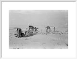 View of Wilfred Thesiger's travelling ...