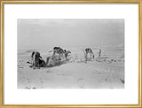 View of Wilfred Thesiger's travelling ...