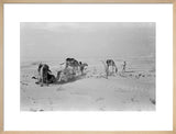 View of Wilfred Thesiger's travelling ...