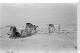 View of Wilfred Thesiger's travelling ...