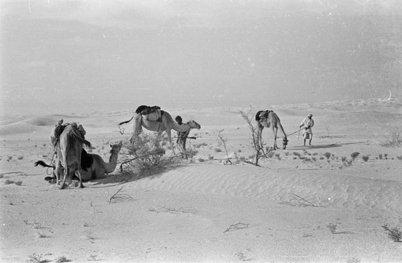 View of Wilfred Thesiger's travelling ...
