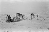 View of Wilfred Thesiger's travelling ...