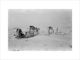 View of Wilfred Thesiger's travelling ...