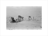 View of Wilfred Thesiger's travelling ...