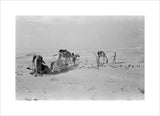 View of Wilfred Thesiger's travelling ...