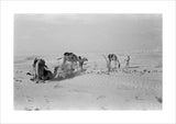 View of Wilfred Thesiger's travelling ...