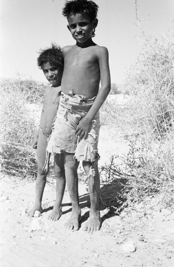 Portrait of two boys of ...