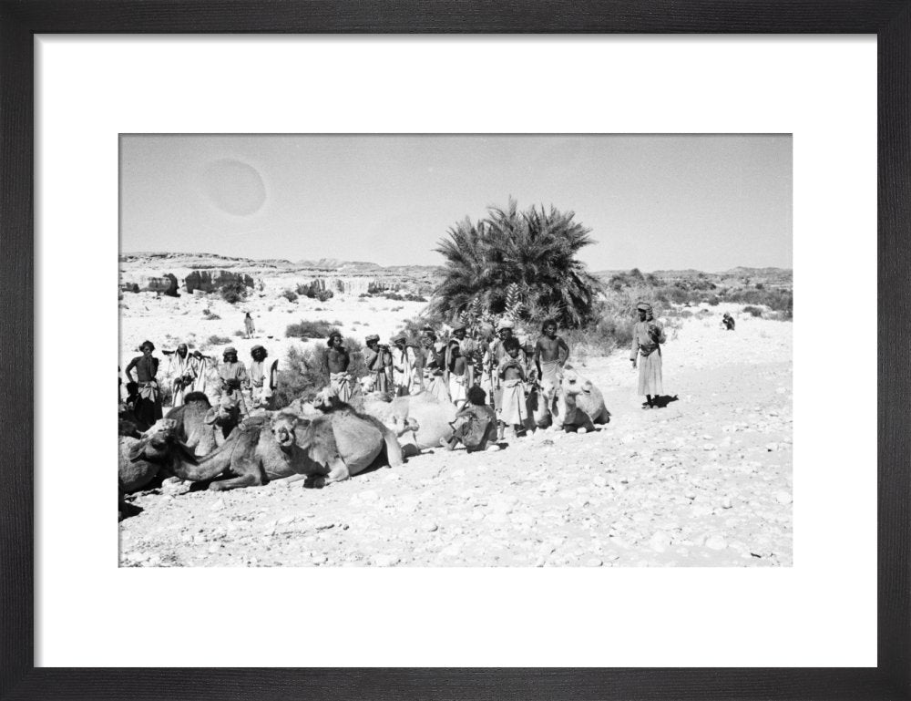 View of a group of ... – Pitt Rivers Museum Prints