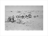 View of Wilfred Thesiger's party ...