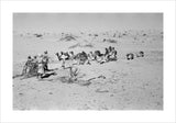 View of Wilfred Thesiger's party ...