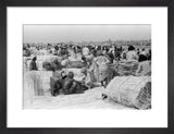 View of palm traders and ...