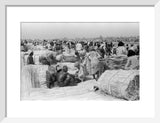 View of palm traders and ...