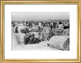 View of palm traders and ...
