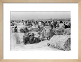 View of palm traders and ...