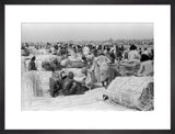 View of palm traders and ...