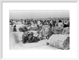 View of palm traders and ...