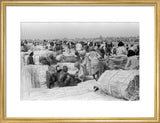 View of palm traders and ...