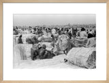 View of palm traders and ...