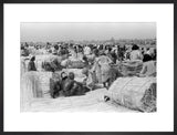 View of palm traders and ...
