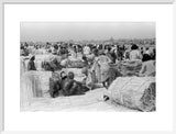 View of palm traders and ...